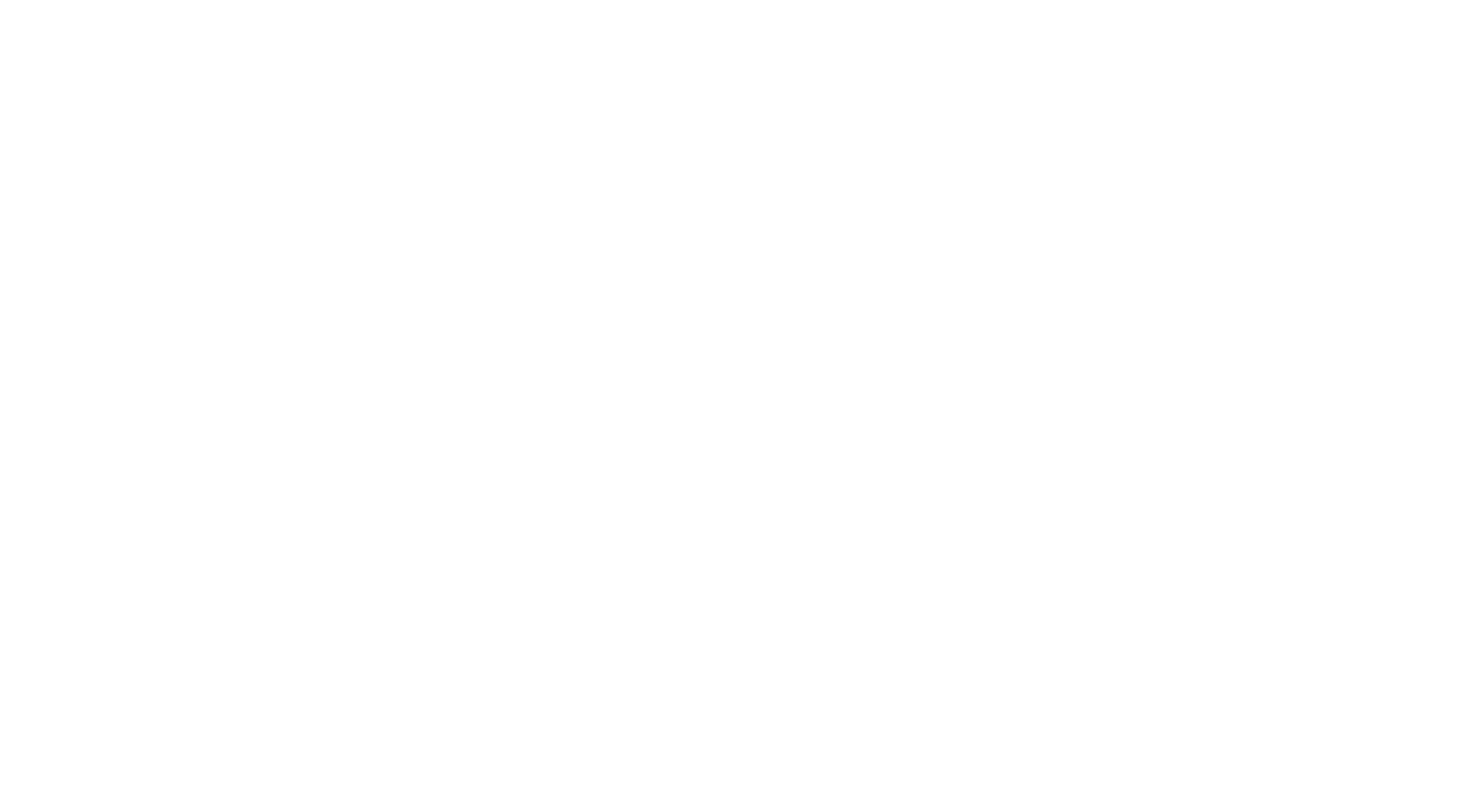 ailes_succes_white